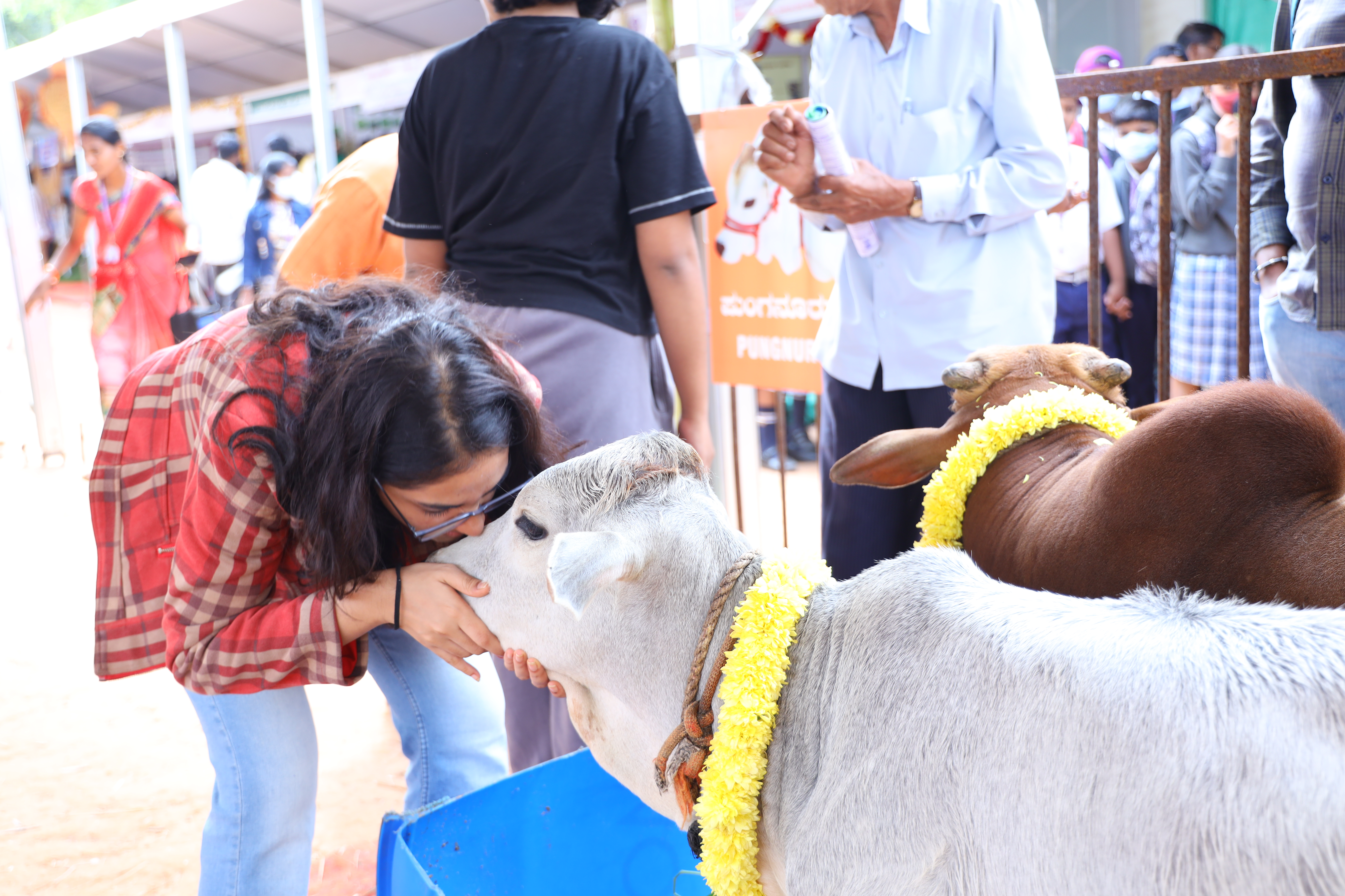 Goshala gallery image a2