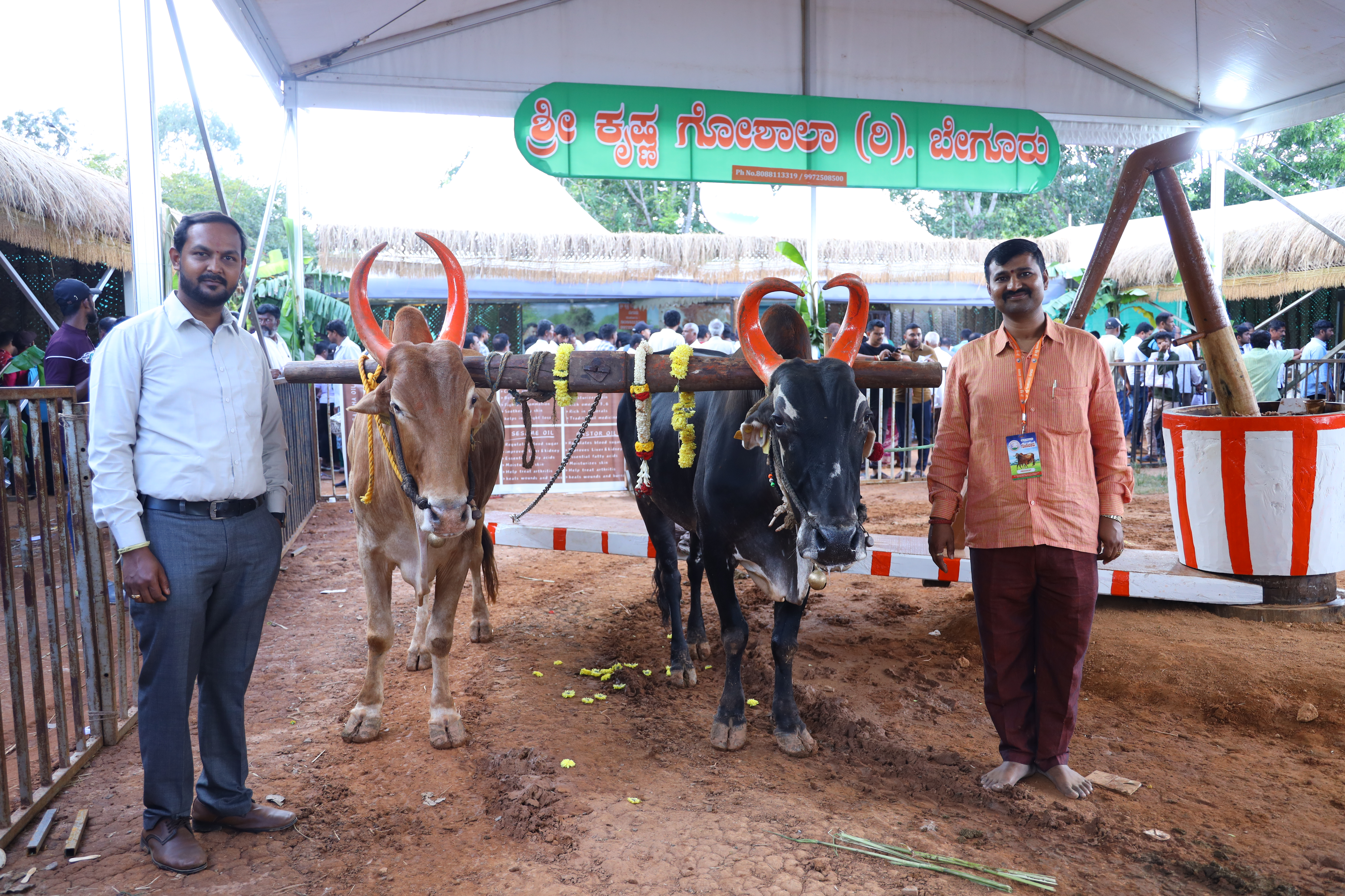 Goshala gallery image a22