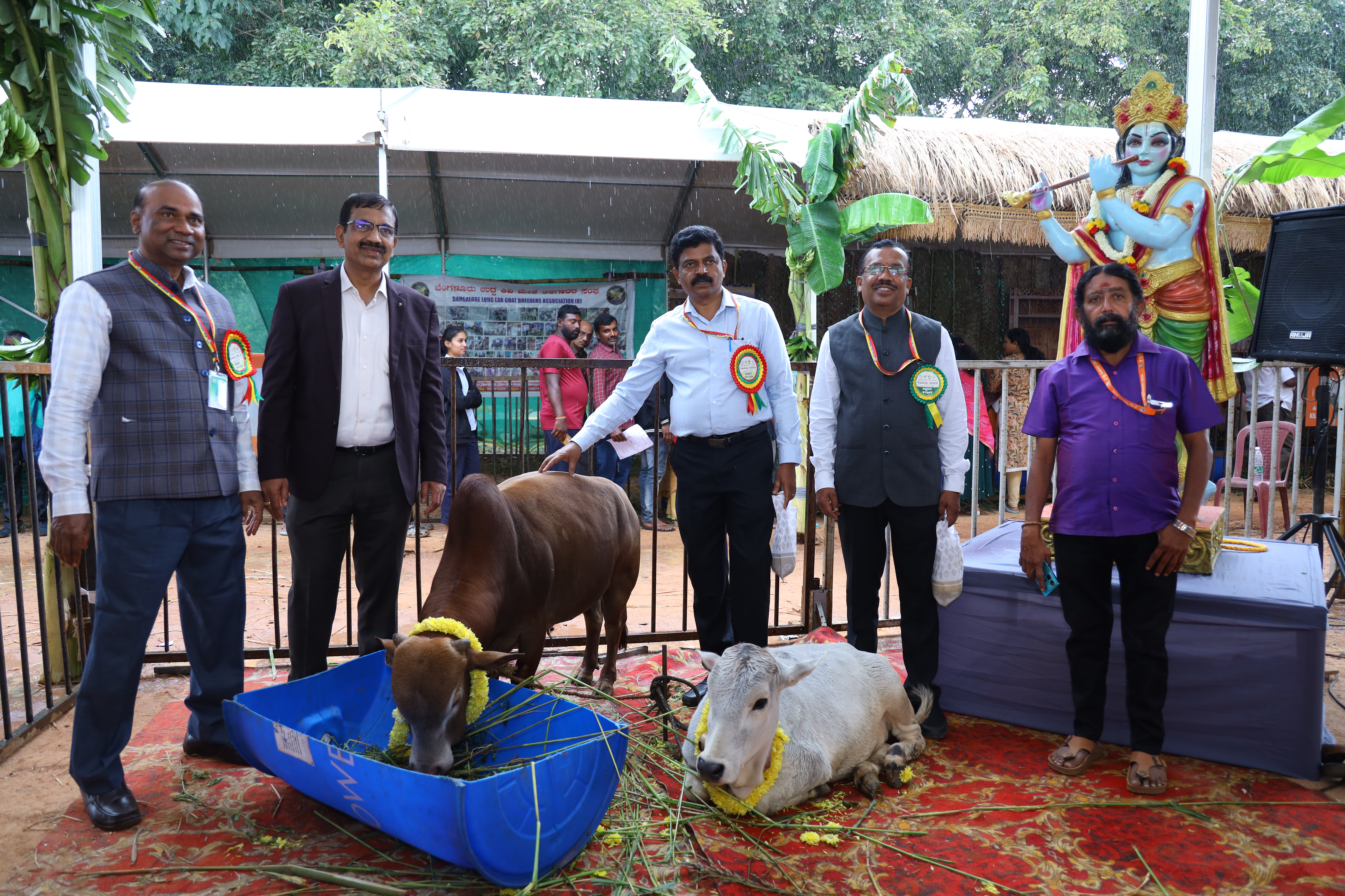 Goshala gallery image a5